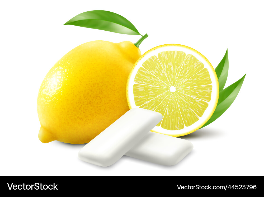 Lemon chewing gum bubble gum with citrus Vector Image
