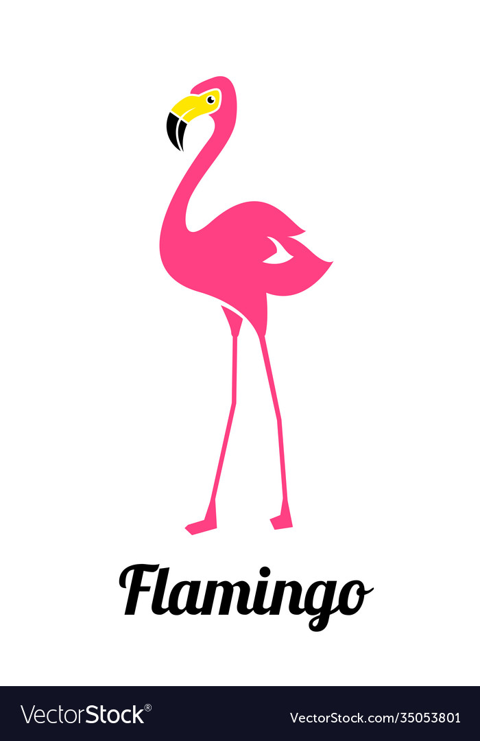 Pink flamingo on a white background flamingo vector image Pink flamingo on a white background flamingo