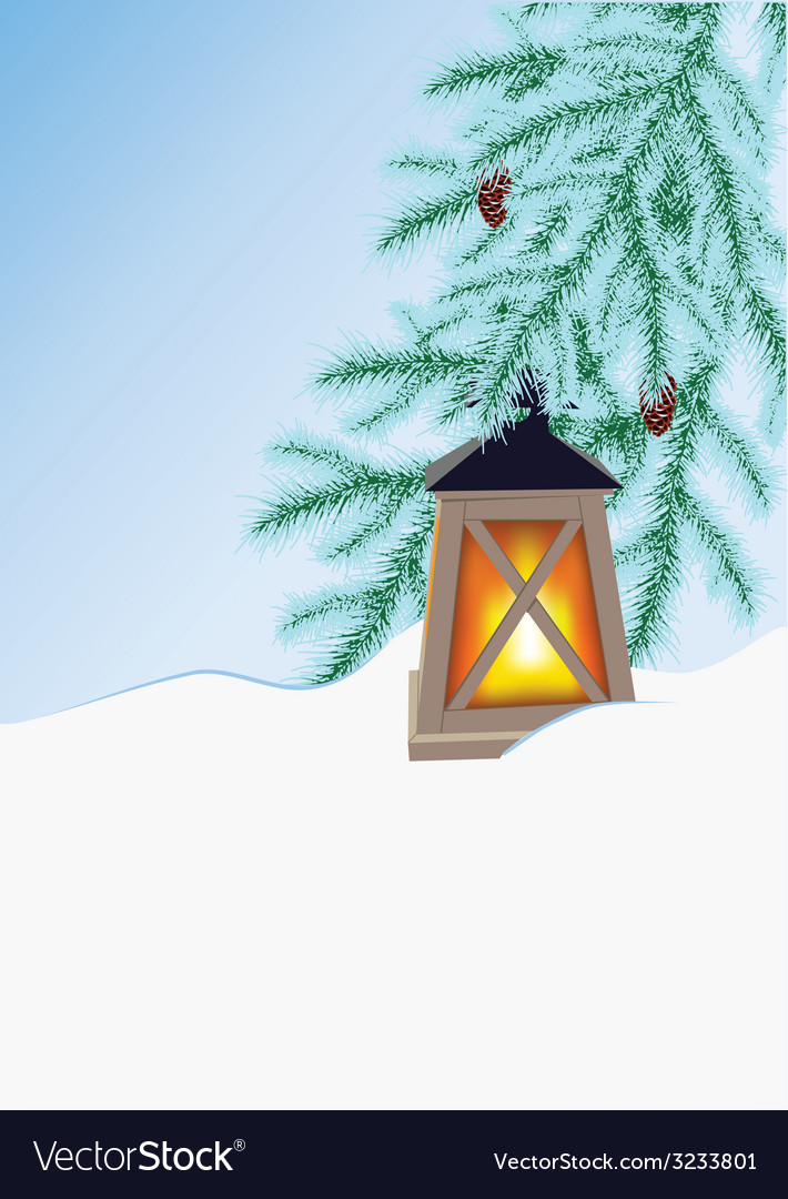 Winterfir und Taschenlampe