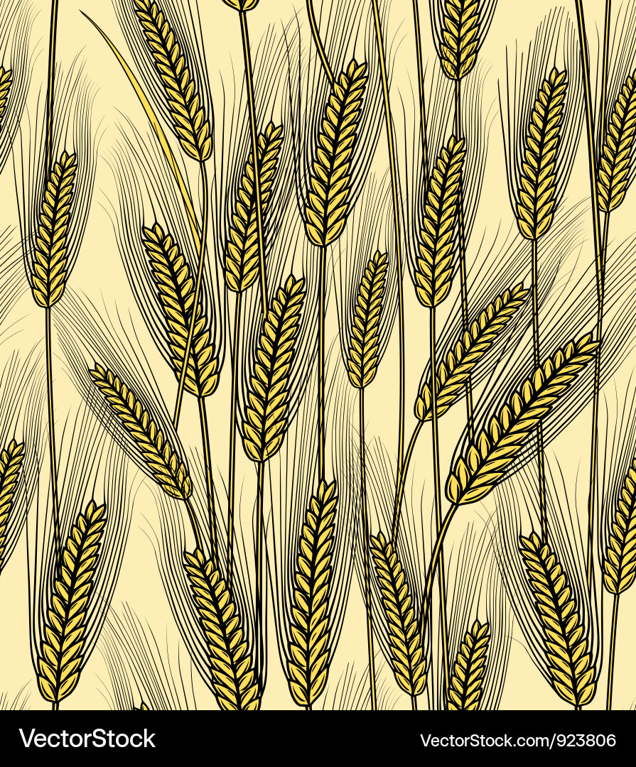 Seamless wheat ears background Royalty Free Vector Image