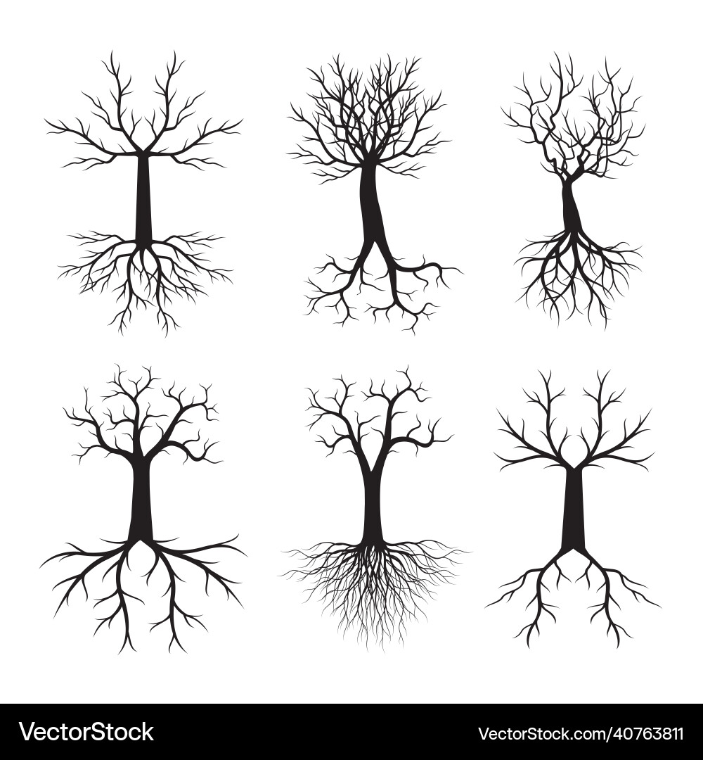 Set black trees Royalty Free Vector Image - VectorStock