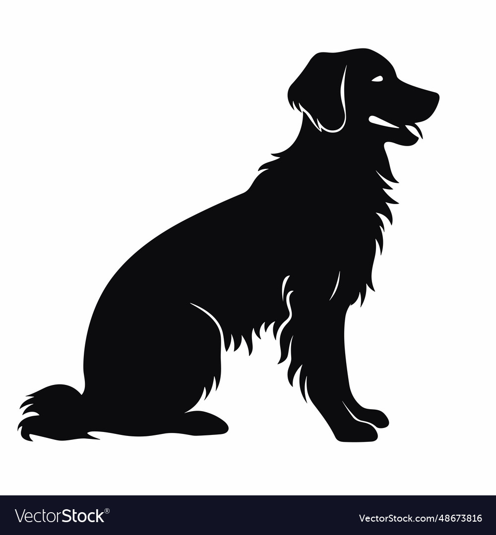 Golden retriever black icon on white background Vector Image