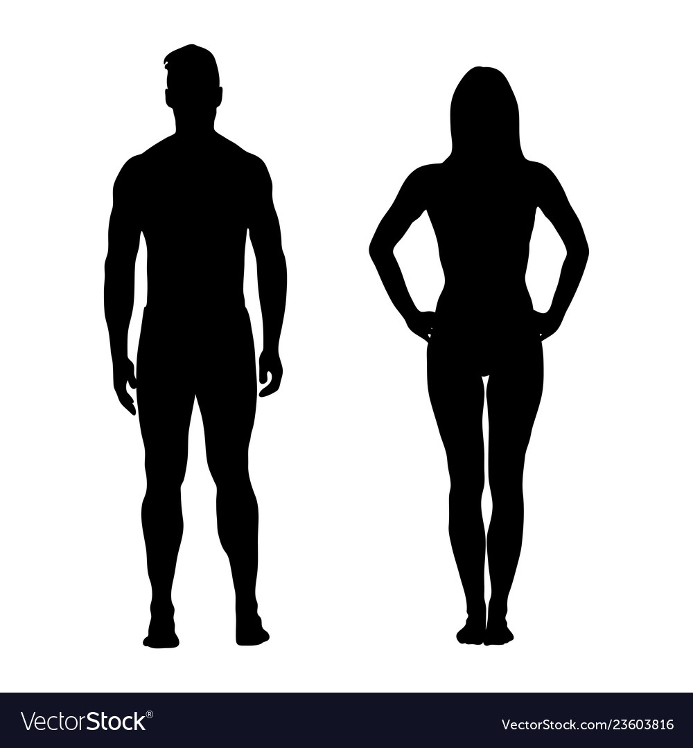 Silhouettes man and woman Royalty Free Vector Image