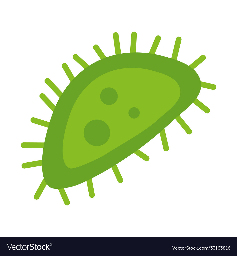 Vibrio cholerae bacteria icon flat style Vector Image