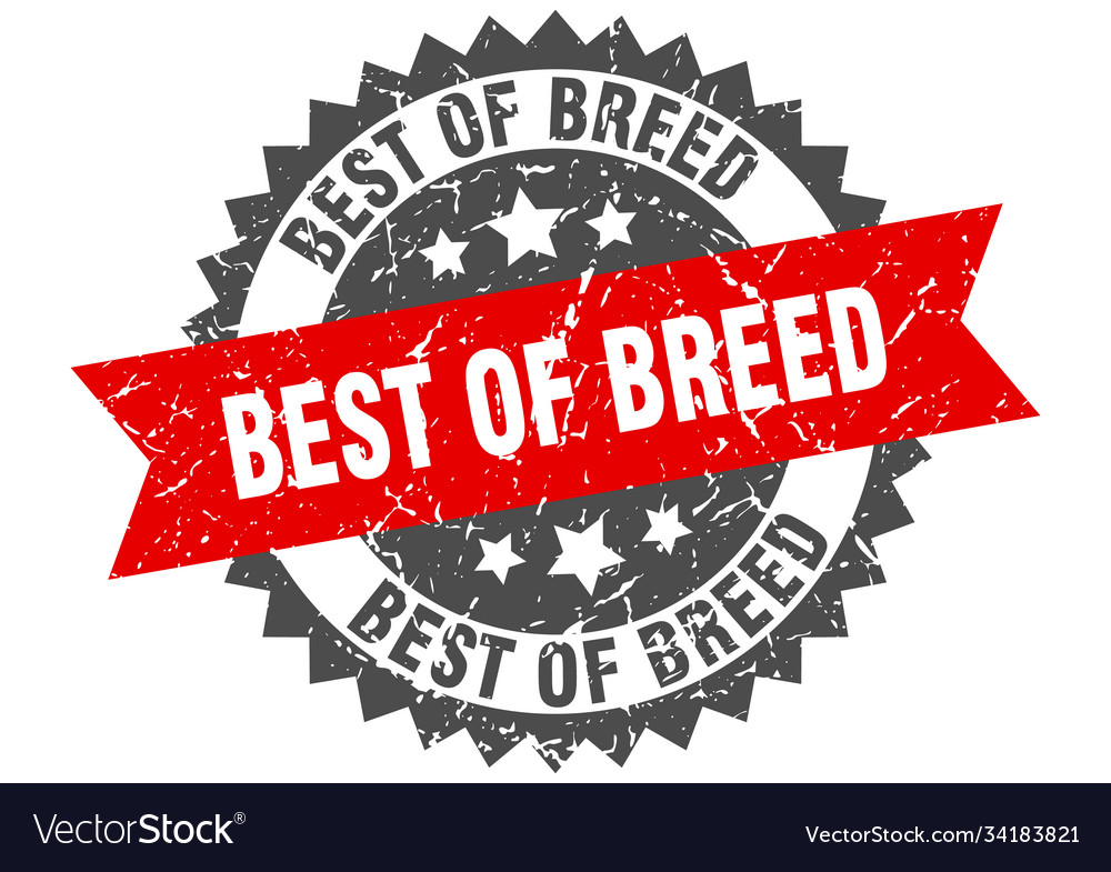 Best breed stamp grunge round sign with ribbon