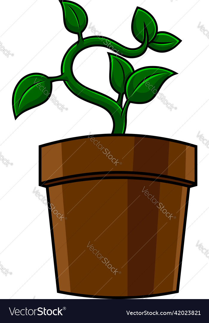 Cartoon green home potted plant Royalty Free Vector Image