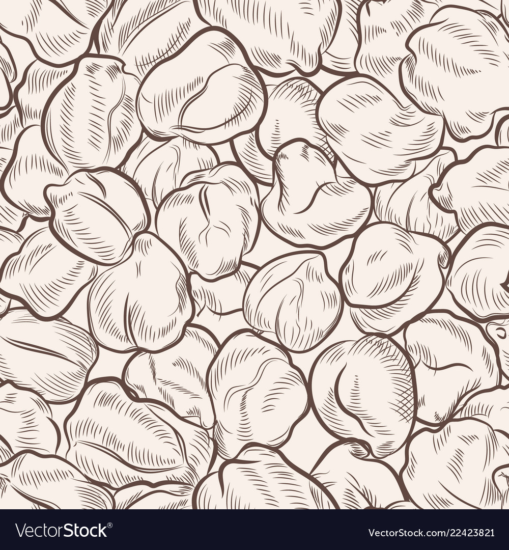 Chickpea sketch seamless pattern