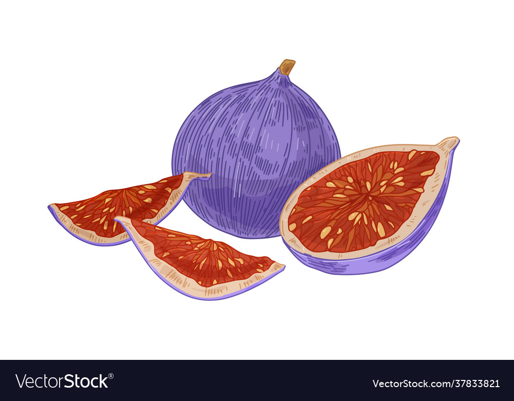 Fresh whole fig and pieces cut half quarters