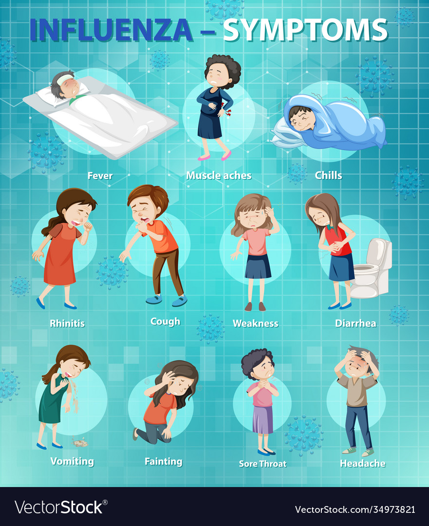 Influenza symptoms cartoon style infographic Vector Image