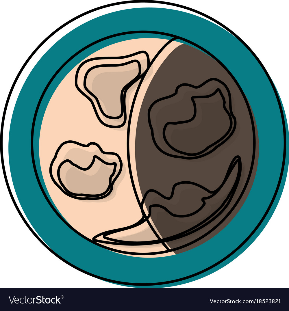 Moon icon image Royalty Free Vector Image - VectorStock