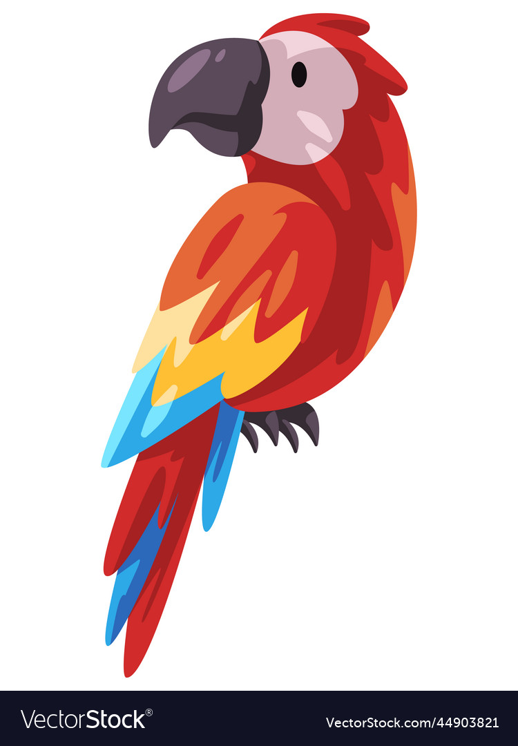 Parrot bird colorful adorable cacatua exotic cute Vector Image