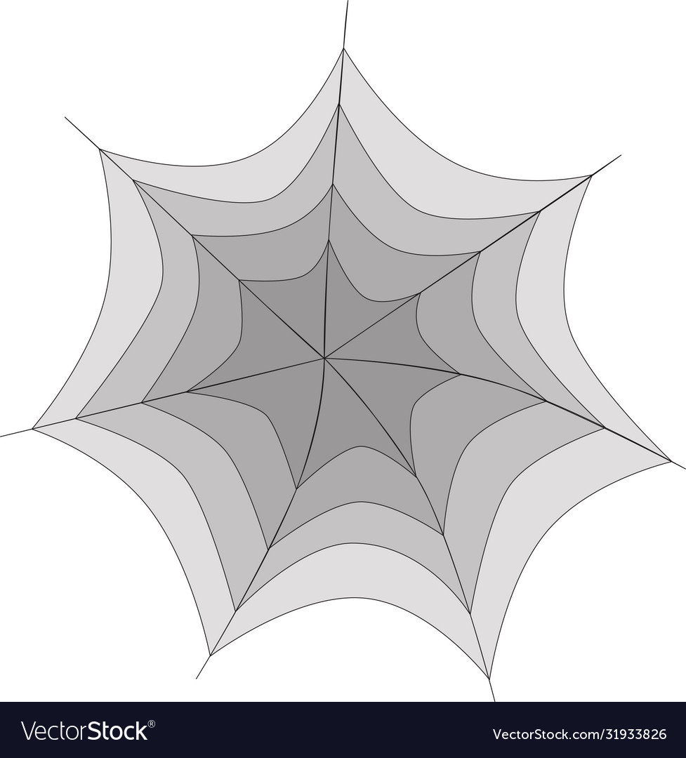 Spiderweb on a white background halloween Vector Image