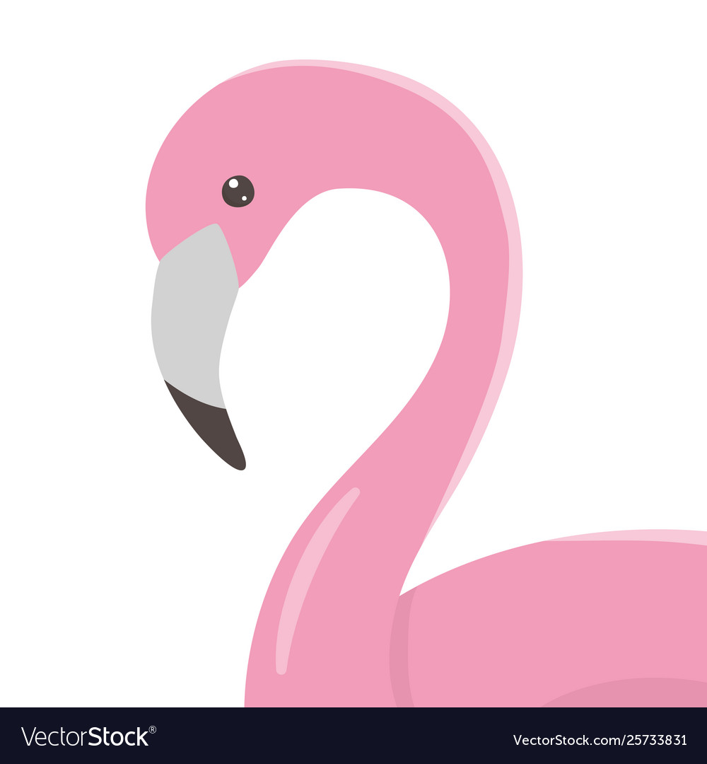 Flamingo cartoon design