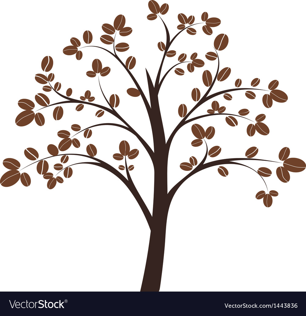 Coffee tree Royalty Free Vector Image - VectorStock