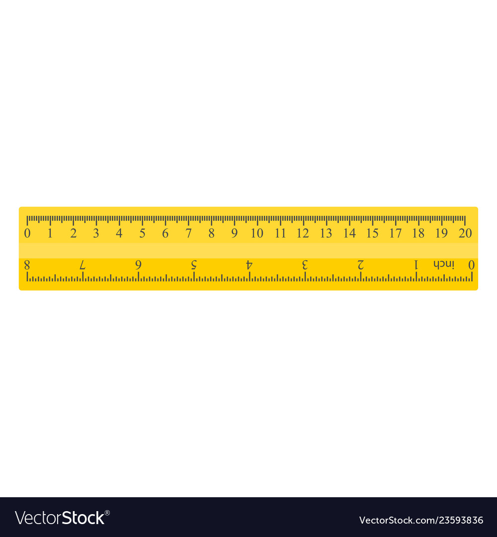 20 inch ruler