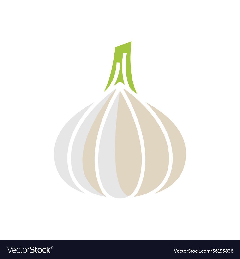 Garlic icon template isolated