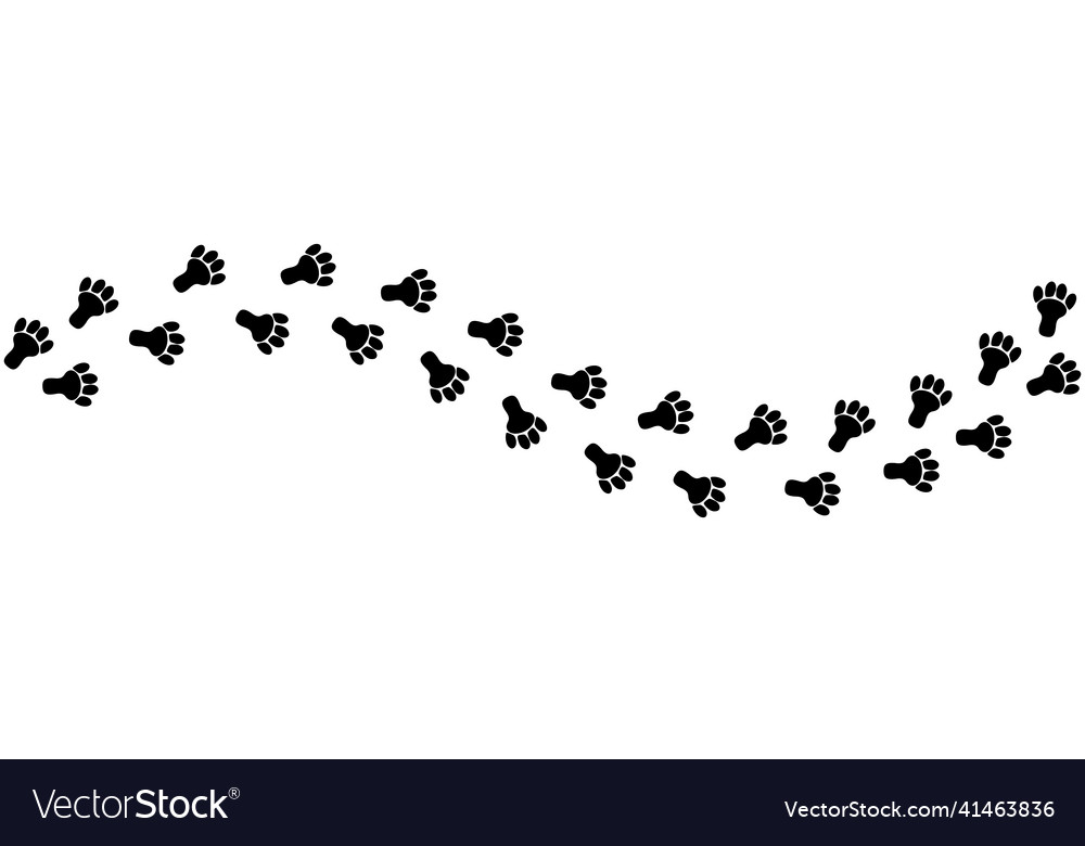 Paw Footprint Of Rabbit Hare Track Royalty Free Vector Image