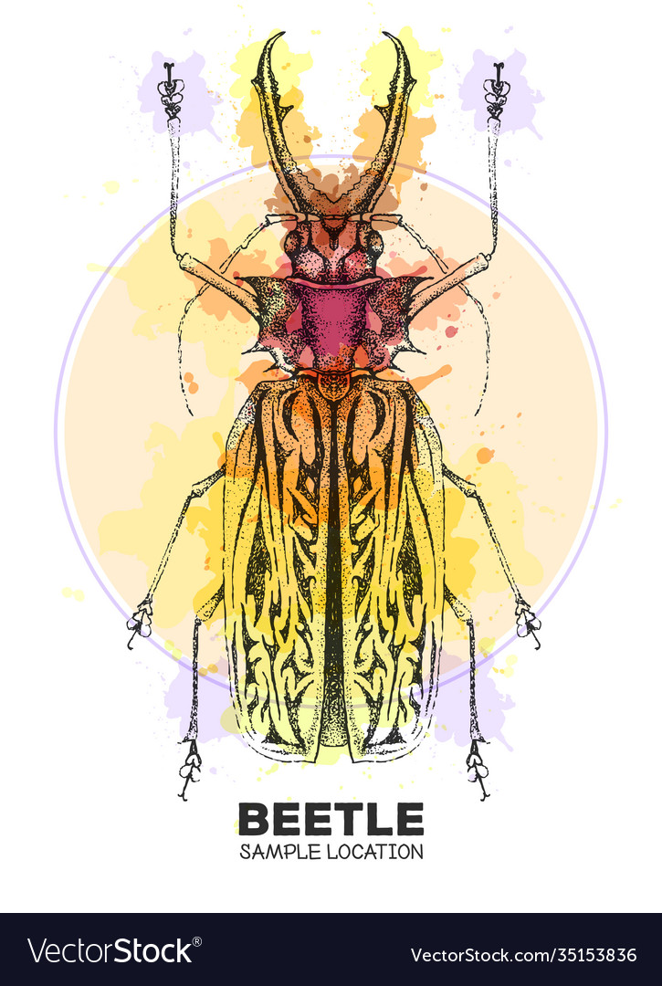 Realistic hand drawing sabertooth longhorn beetle Vector Image