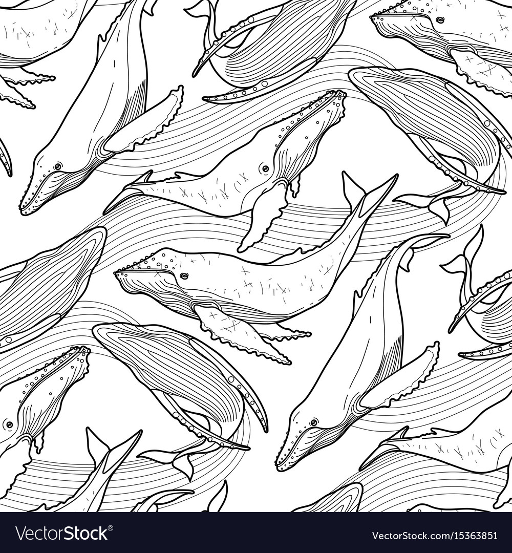 Graphic humpback whale pattern Royalty Free Vector Image