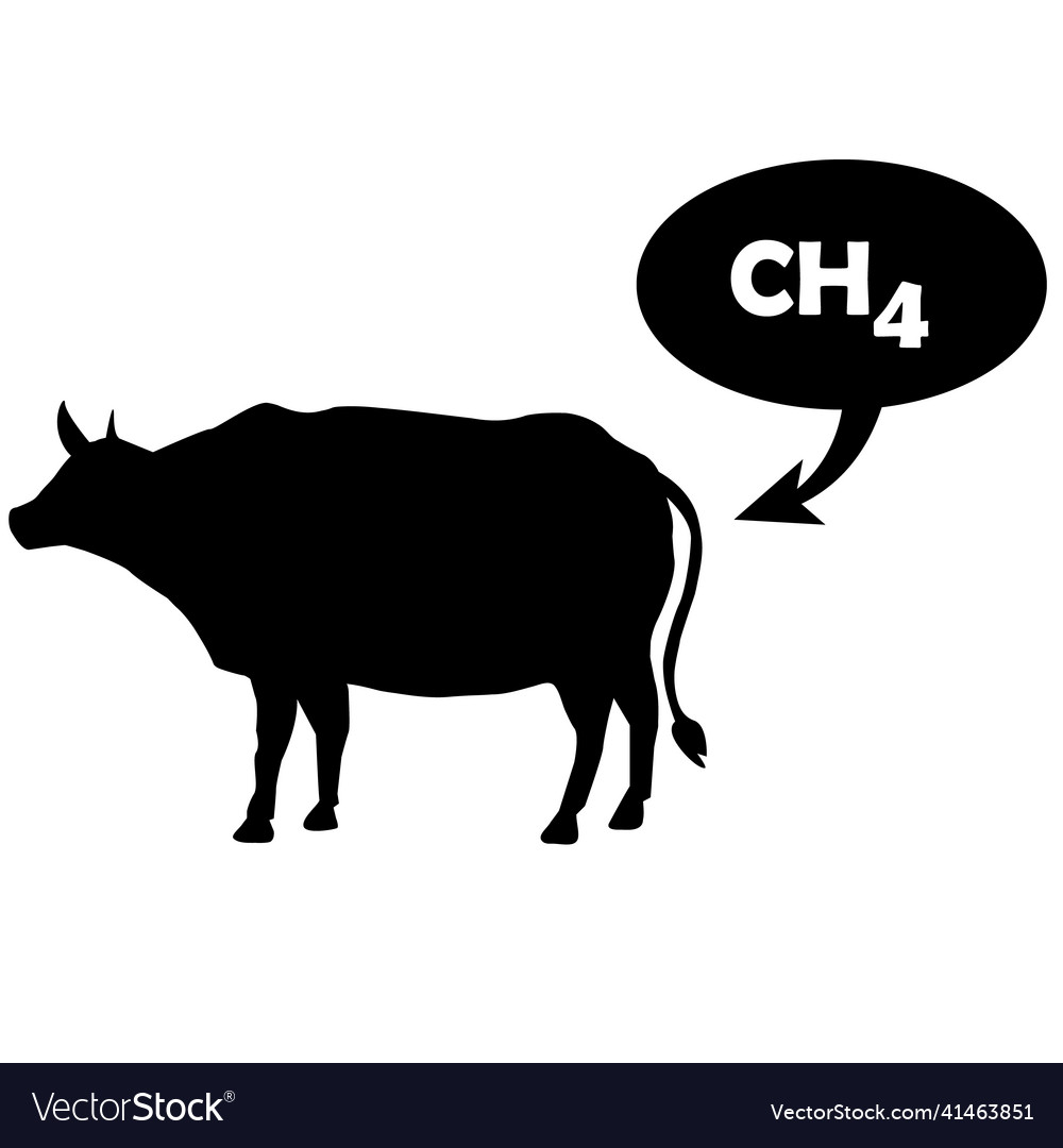 Methane is released by the cow ch4 emissions