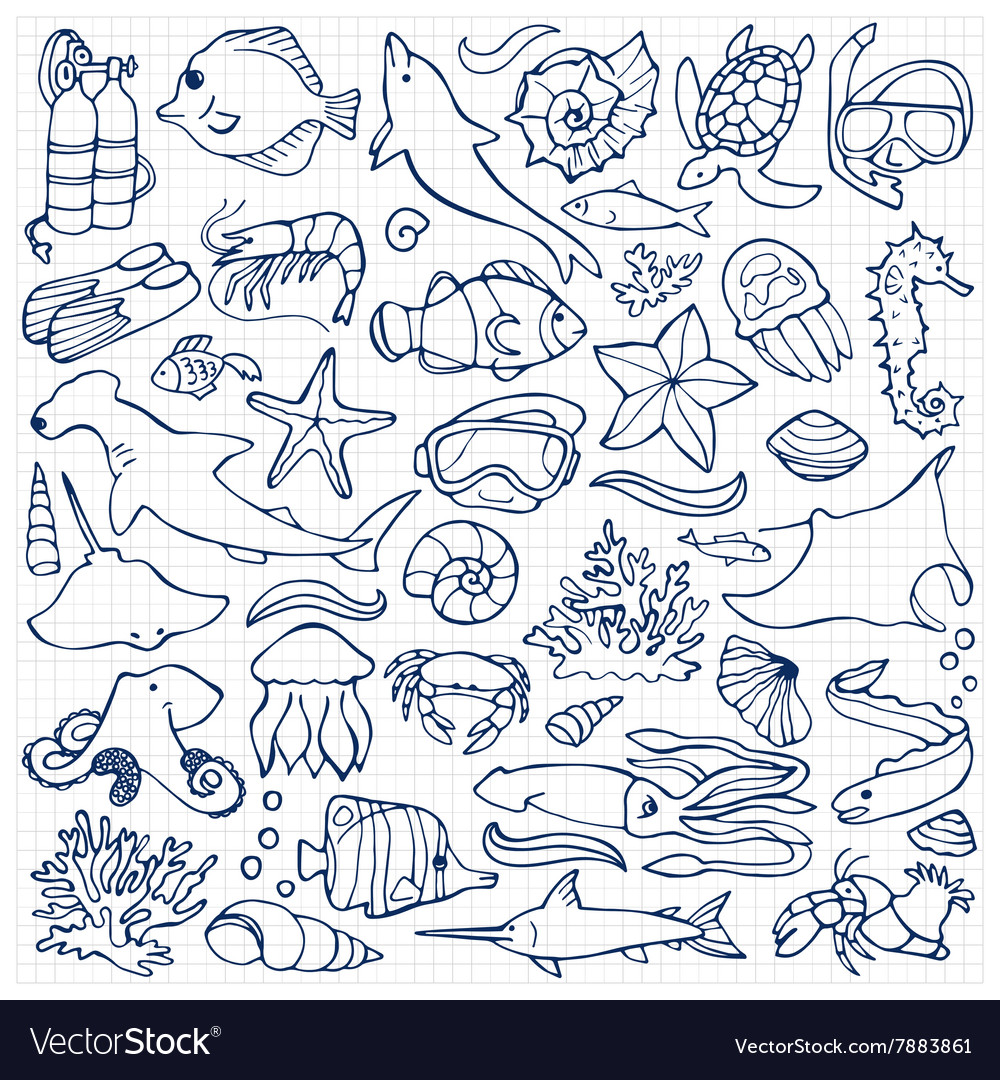 Sea doodle set Royalty Free Vector Image - VectorStock