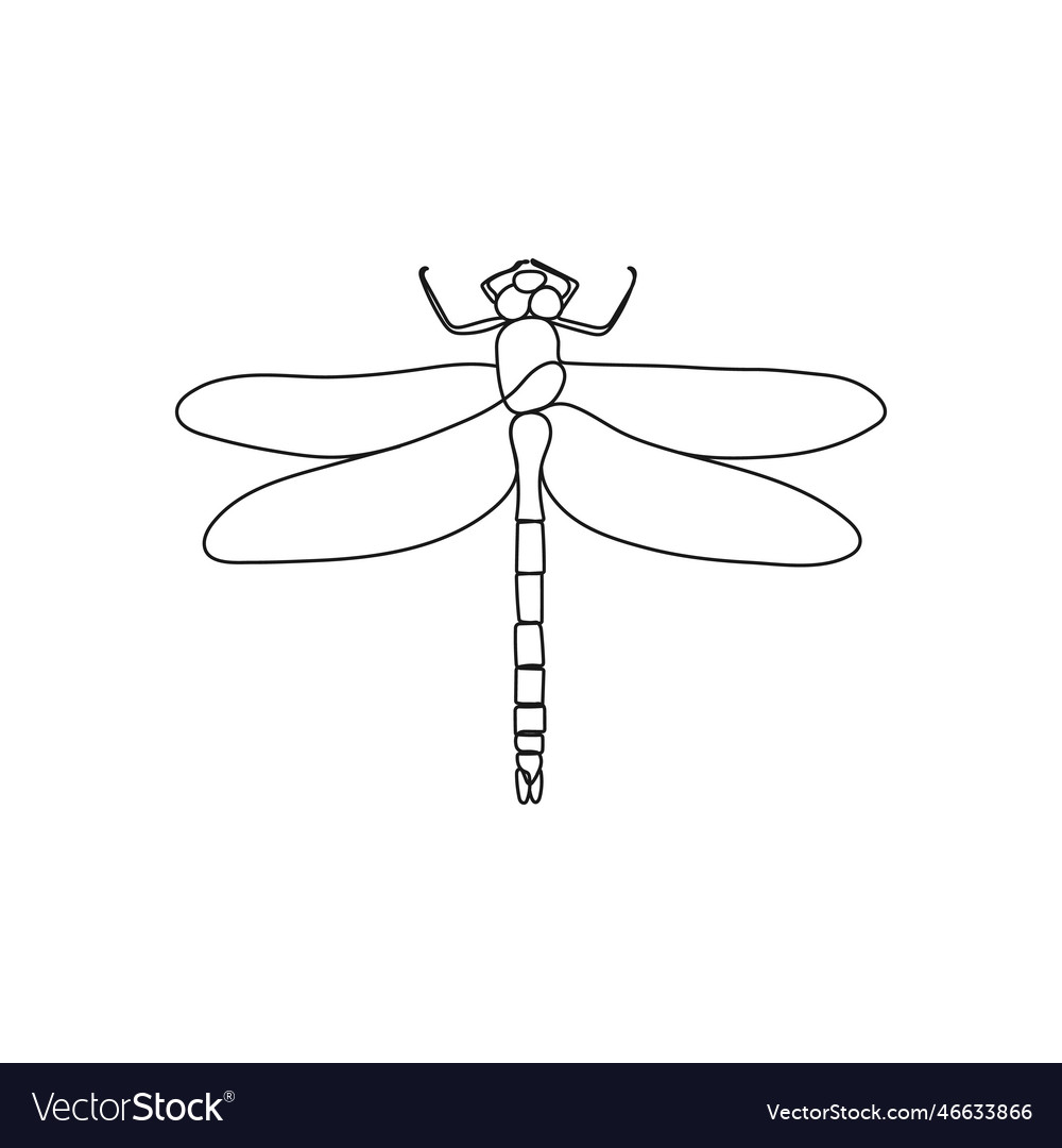 Dragonfly insect in one line drawing style