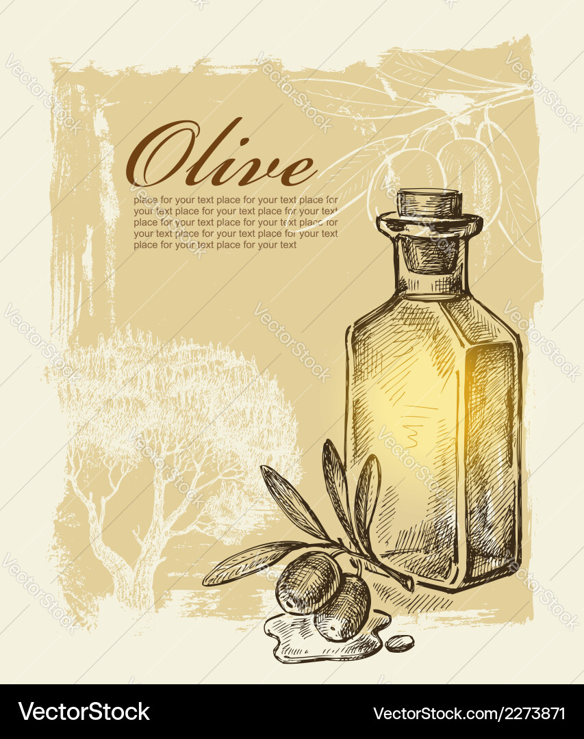 Hand drawn olive Royalty Free Vector Image - VectorStock