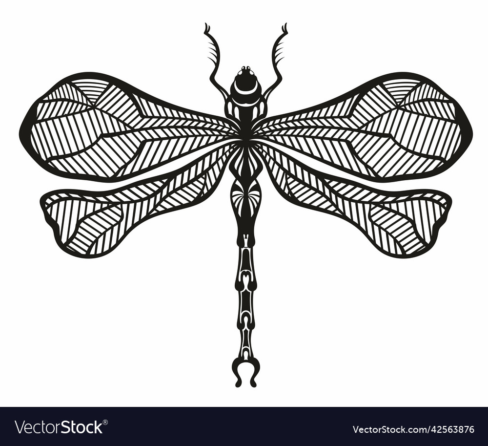 Dragonfly Royalty Free Vector Image - VectorStock