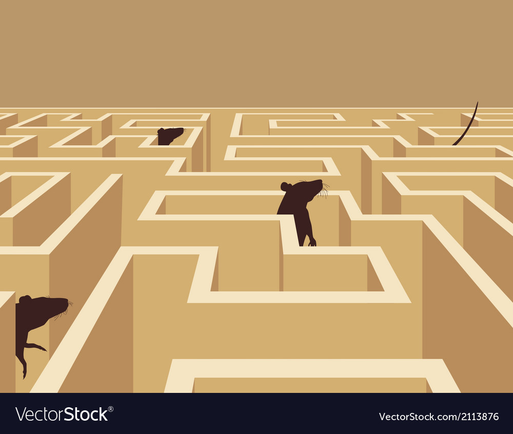 Rat maze Royalty Free Vector Image - VectorStock