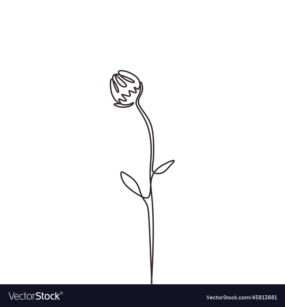 Flower continuous one line drawing isolated