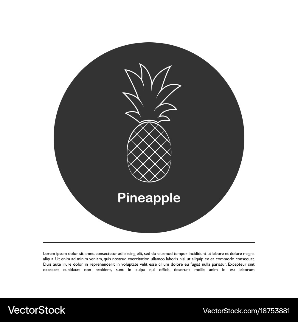 Pineapple fruit Royalty Free Vector Image - VectorStock