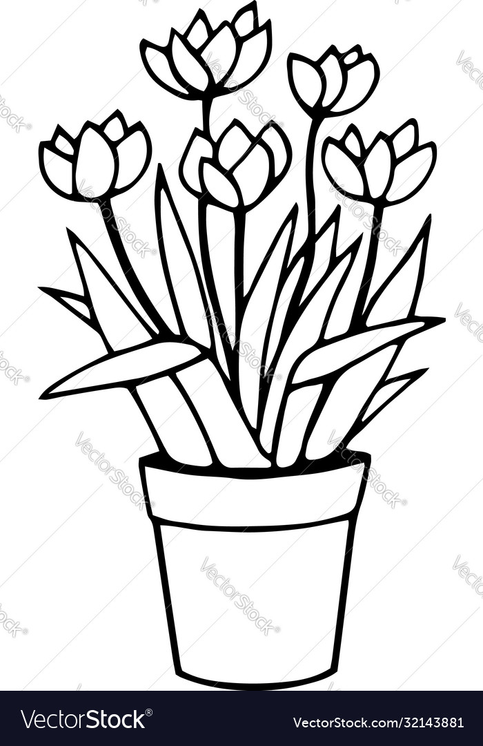 Single element flowers Royalty Free Vector Image