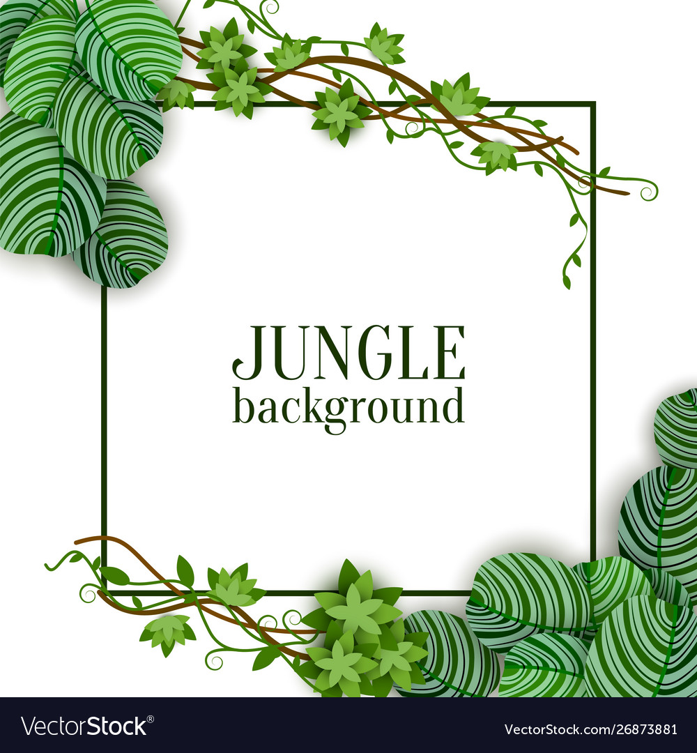 Garden Centre Vector Images 19