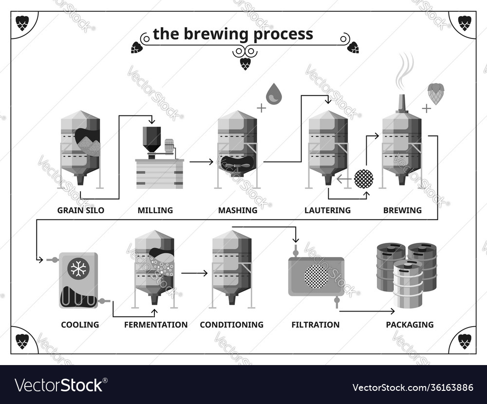 Brewery production process infographics template Vector Image