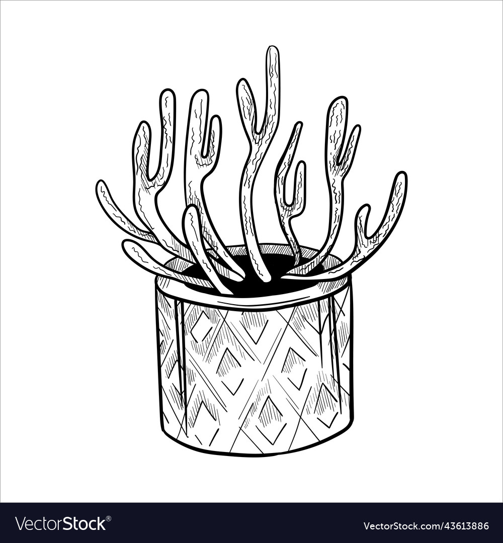 Cactus in flowerpots outline hand drawn sketch