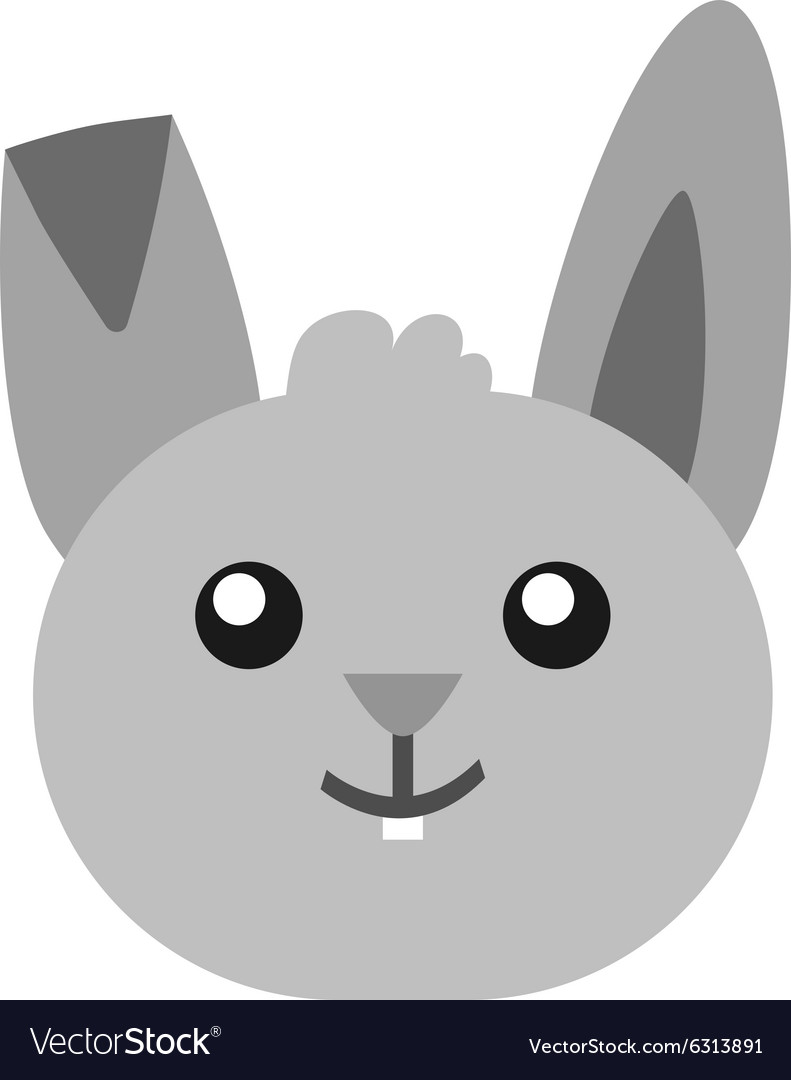 Bunny i