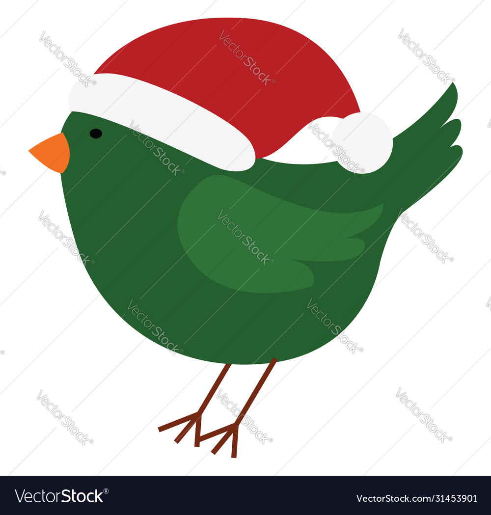 Bird with hat on white background Royalty Free Vector Image
