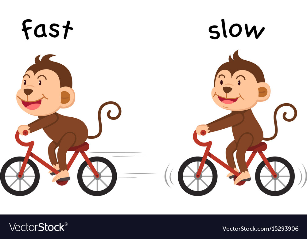 opposite-words-fast-and-slow-royalty-free-vector-image