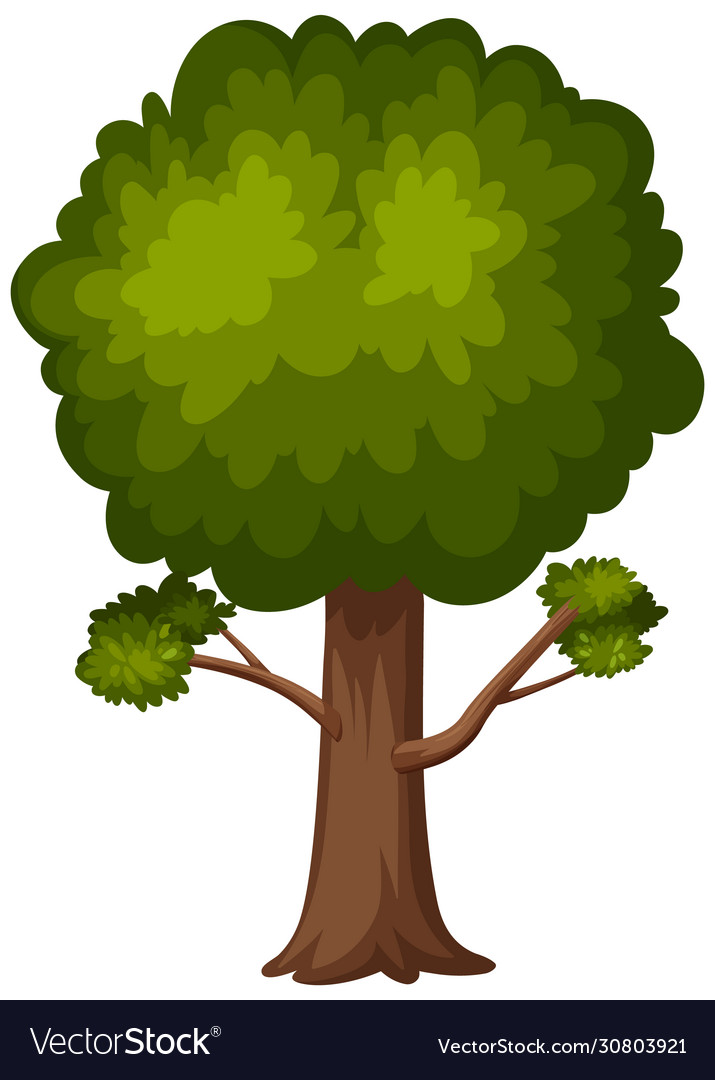 One big tree on white background Royalty Free Vector Image