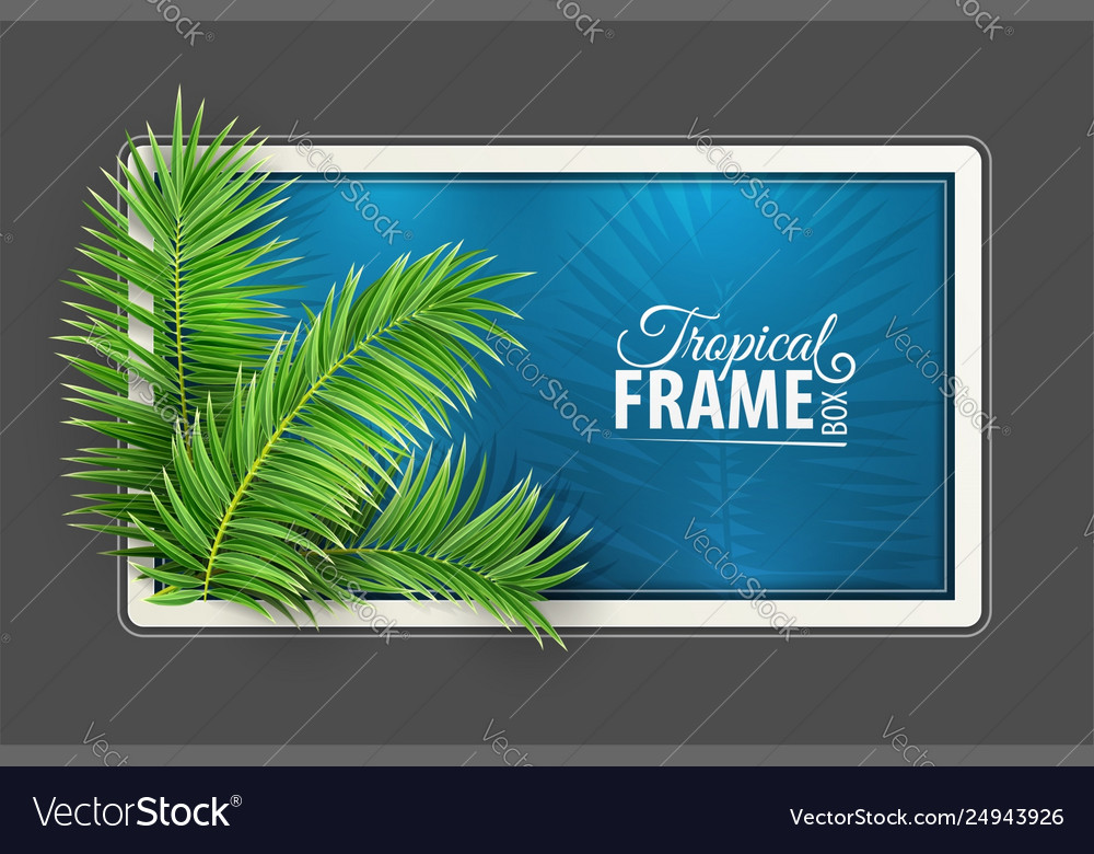 Tropical Banner Frame Design Royalty Free Vector Image