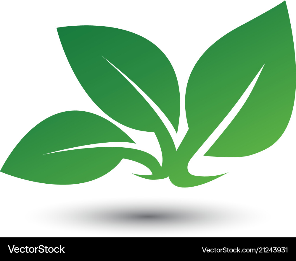 Abstract leaf logo icon template Royalty Free Vector Image