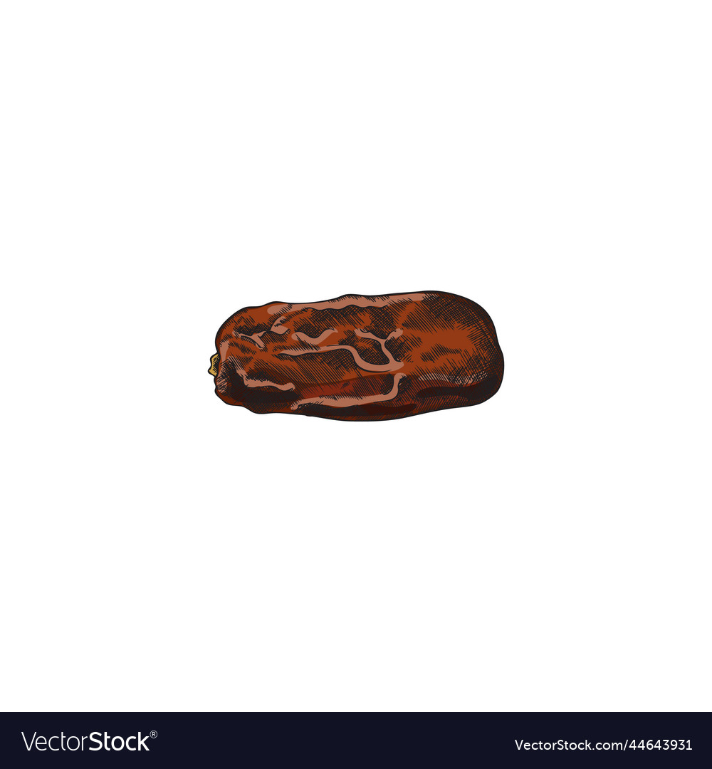 Dried date fruit colored sketch