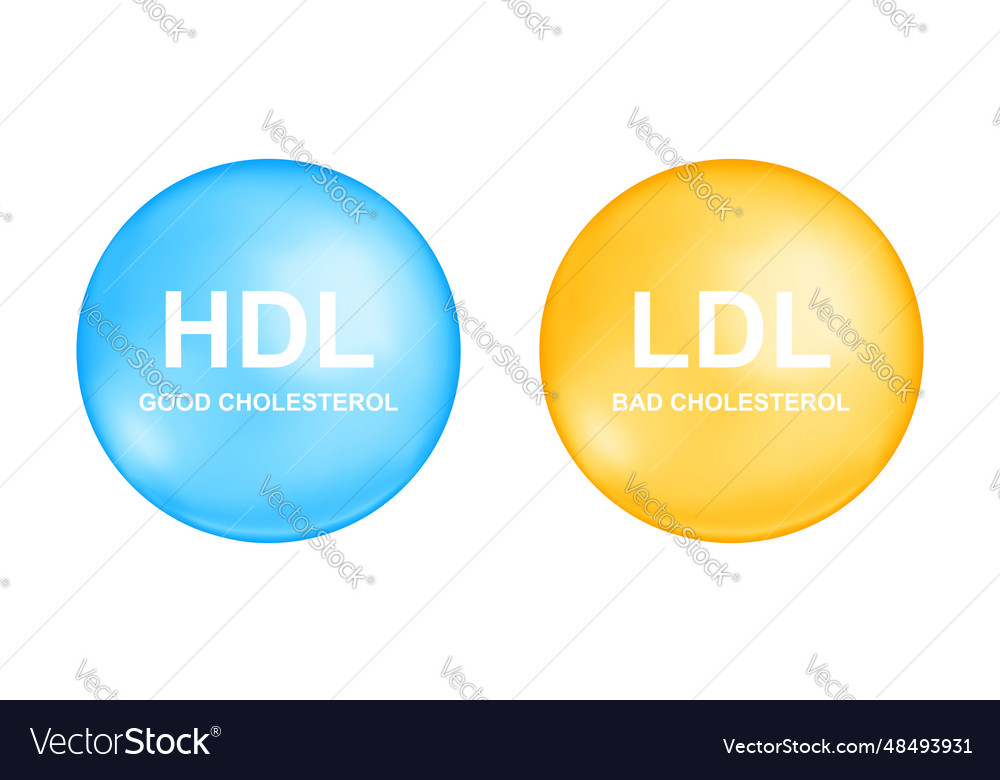 Hdl and ldl cholesterol types in blue yellow Vector Image