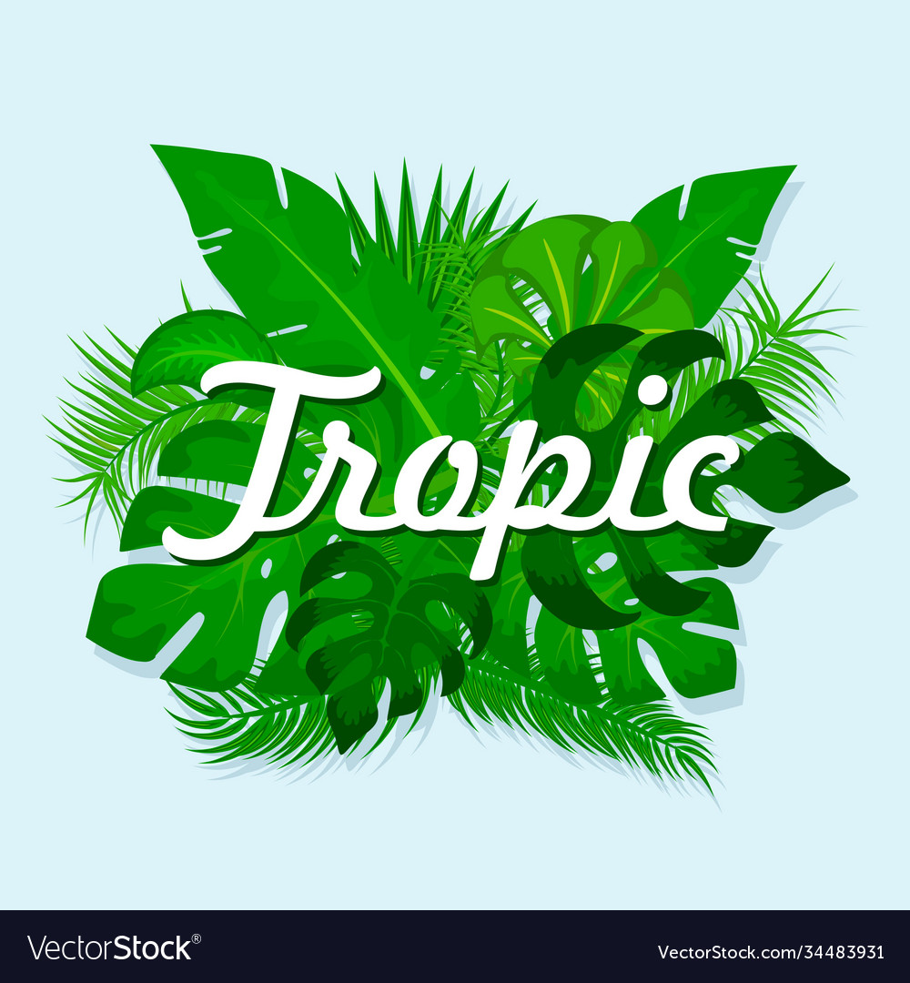 Palm leaves and jungle plants with tropic text