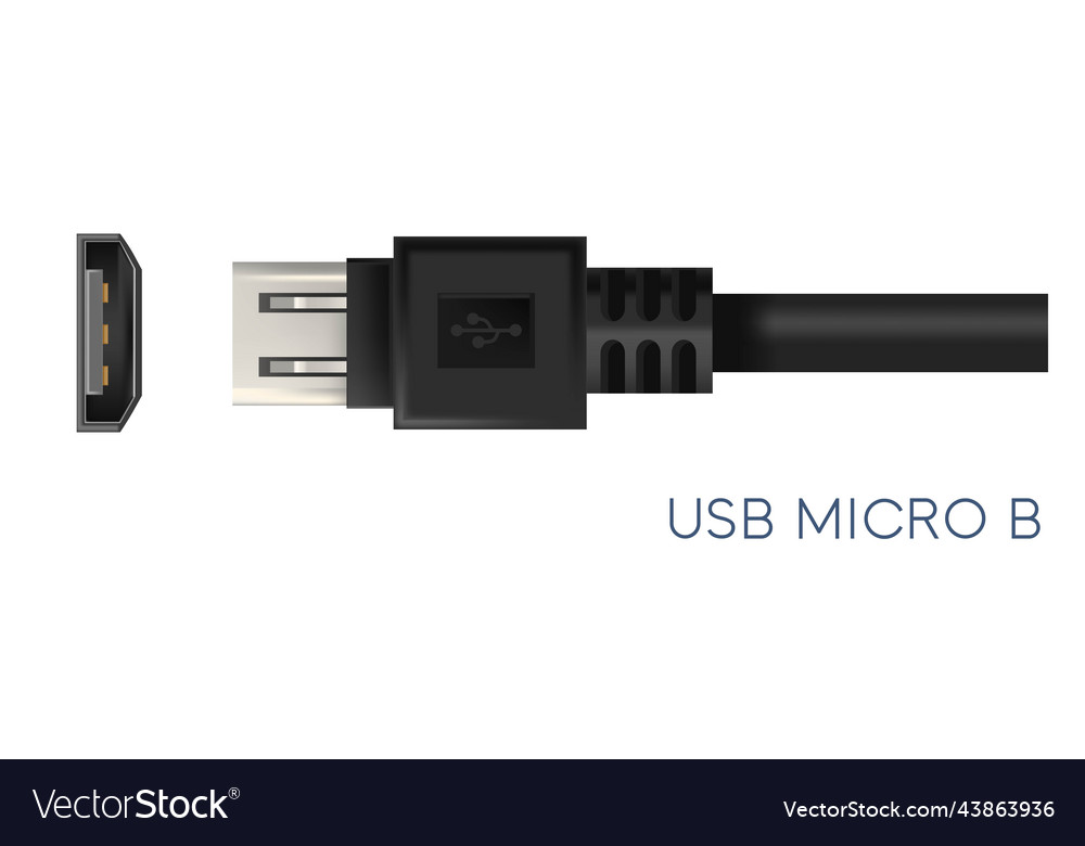 Usb Micro B Type Of Connectors For Gadgets Vector Image