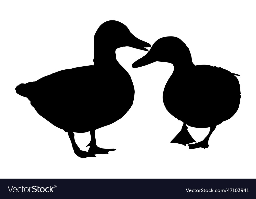 Duck silhouette