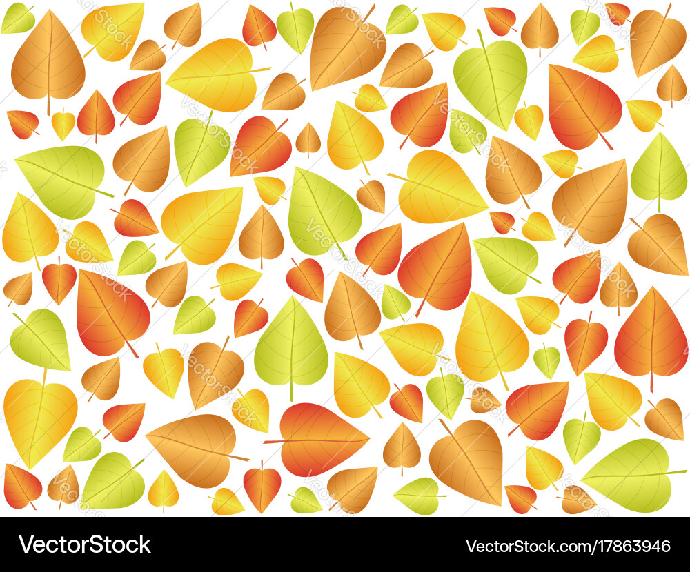 Autumn leaf background Royalty Free Vector Image