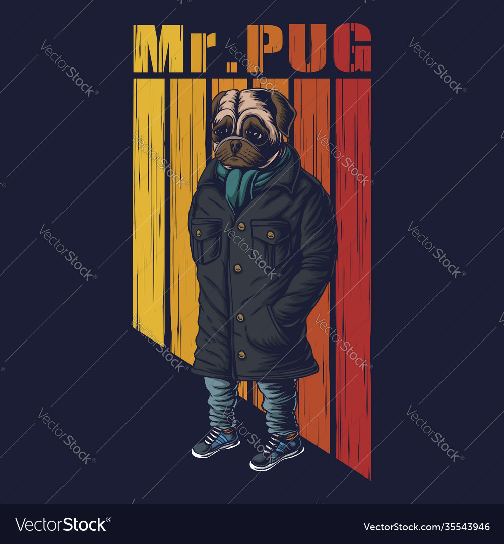 Pug dog fashion