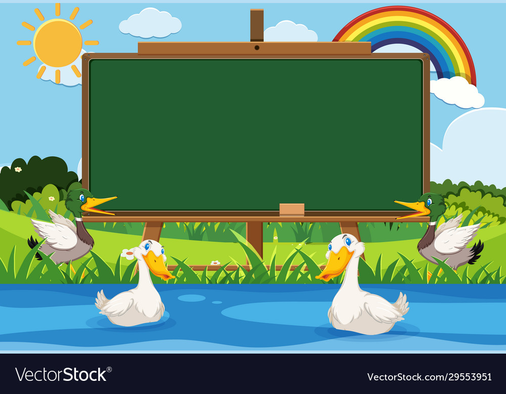 Blackboard Template mit vielen Enten schwimmen