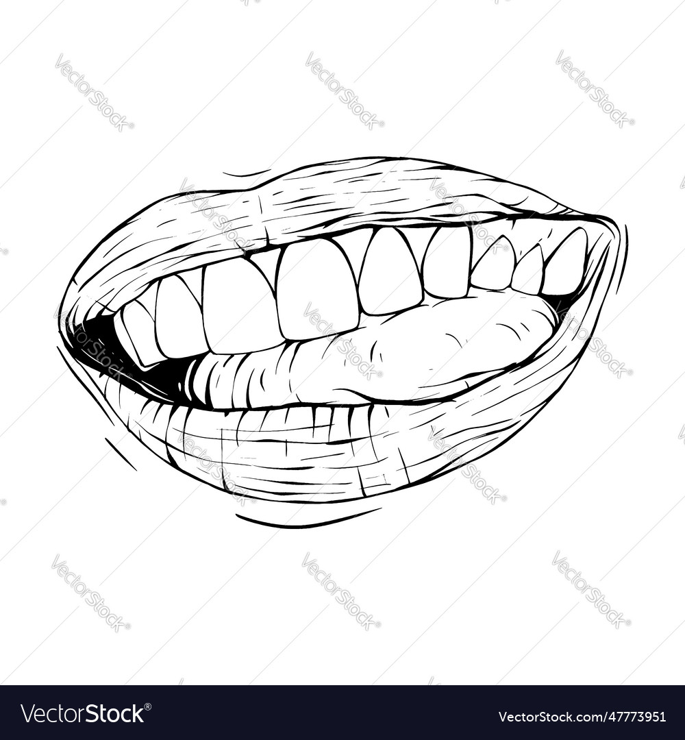 Mouth lips sketch line art Royalty Free Vector Image